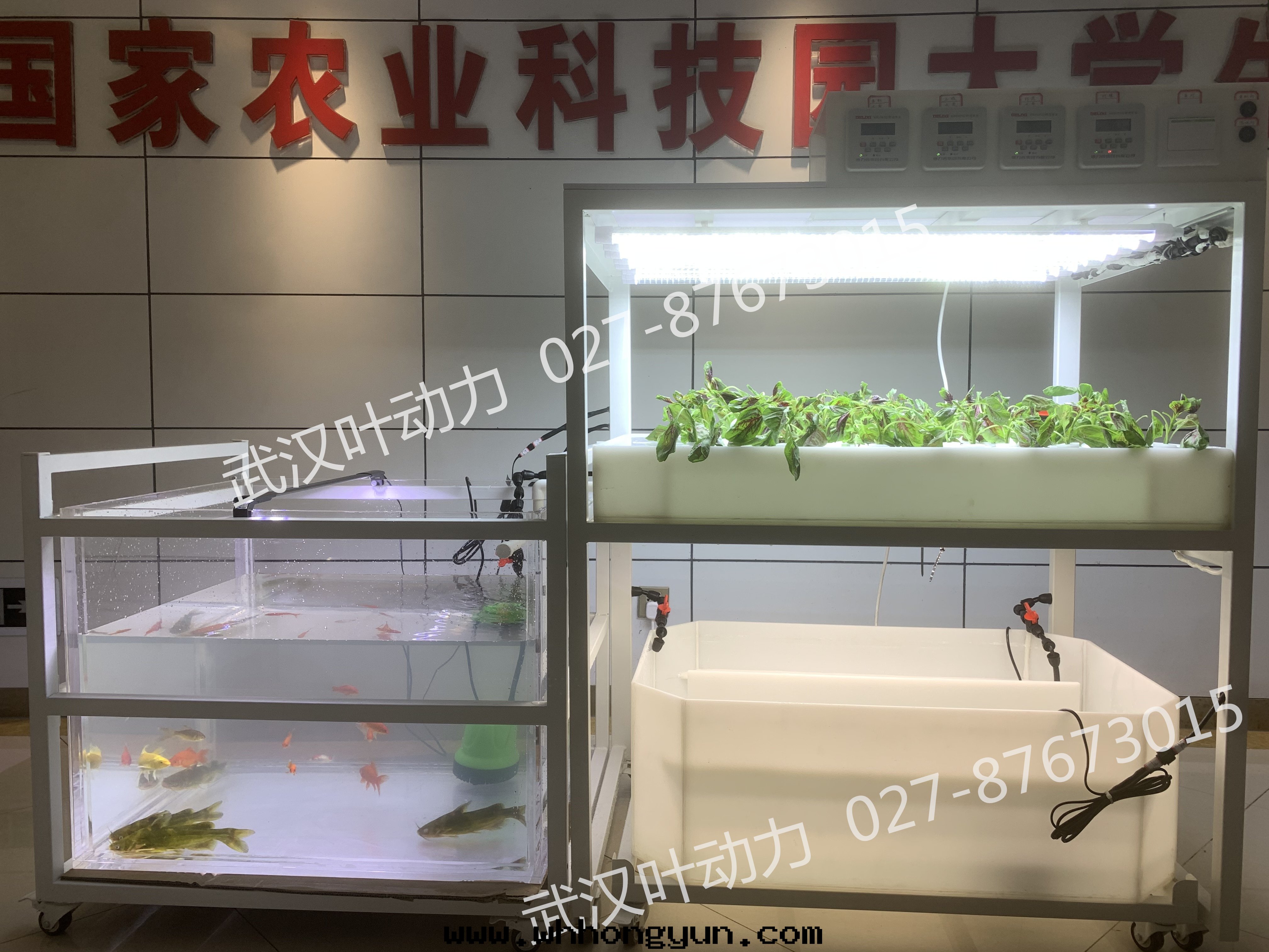 鱼菜共(gòng)生(shēng)