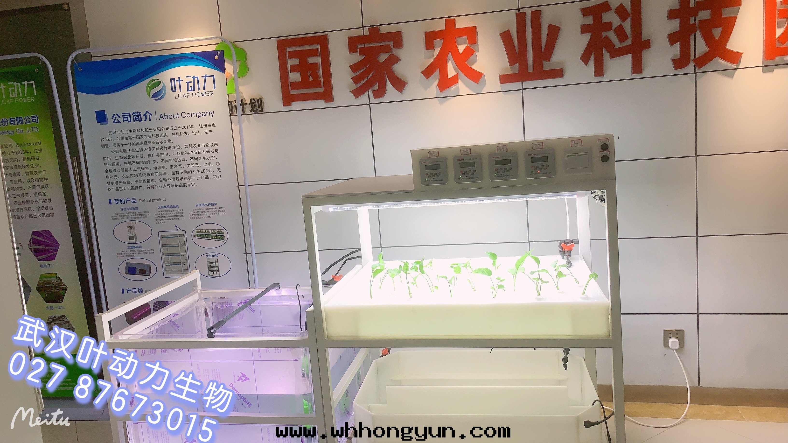 鱼菜共(gòng)生(shēng)