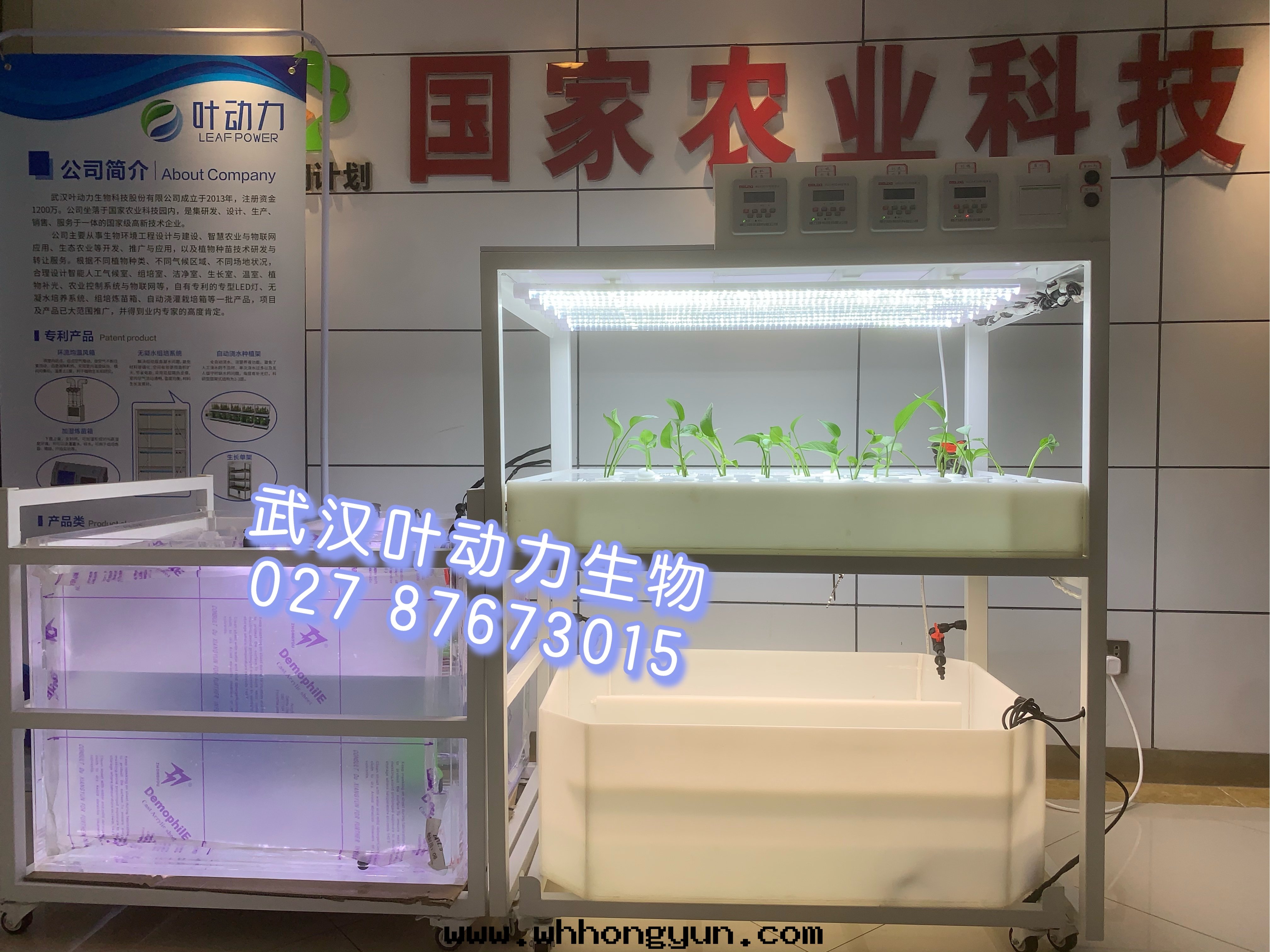 鱼菜共(gòng)生(shēng)