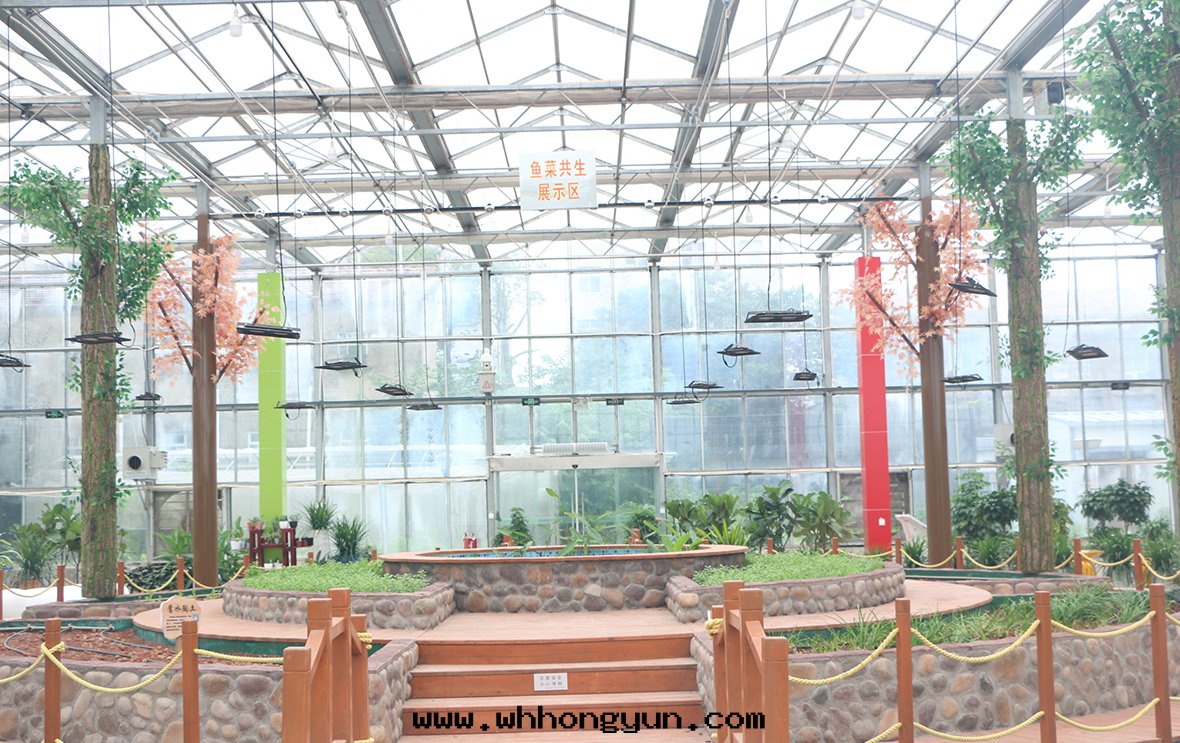 鱼菜共(gòng)生(shēng)