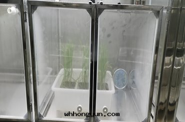 加速育種(zhǒng)室(shì)