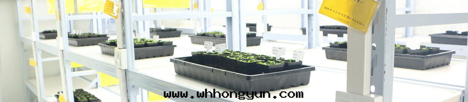 植物(wù)生(shēng)长(cháng)室(shì)