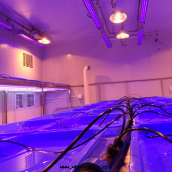 智能(néng)人(rén)工气(qì)候室(shì)